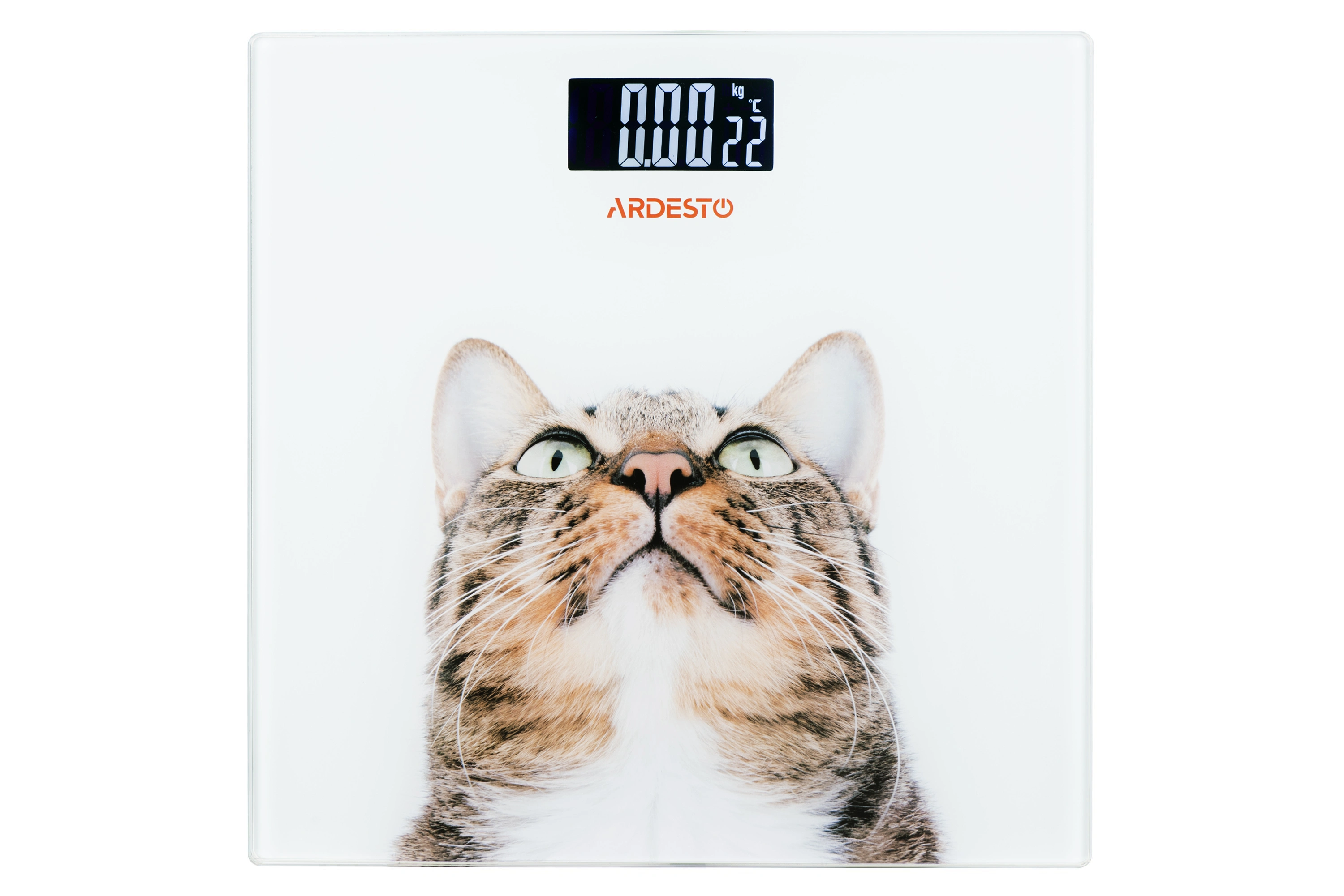 Ваги Ardesto підлогові Cat, 150кг, AAAx2 в комплекті, скло, багатокольорові